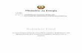 Ministério da Energia - ÃO_DOS_NÍVEIS_DE... · PDF fileRelatório Final AVALIAÇÃO DOS NÍVEIS DE CONSUMO DA ENERGIA DE BIOMASSA NAS PROVINCIAS DE TETE, NAMPULA, ZAMBÉZIA, ...