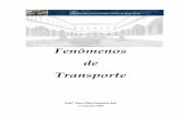 Fenômenos de Transporte - Prof. Netúlionetulio.weebly.com/uploads/9/0/6/6/9066781/apostila-ft-2008-pucmg.pdf · Fenômenos de Transporte – 01/2008 2 Índice 1. Introdução a