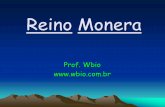 Reino Monera - Wbiowbio.com.br/wp-content/uploads/2016/08/Monera-Wbio.pdf · Reino Monera • Bactérias e Arqueas. • Procariontes. • Unicelulares • Apenas ribossomos como organóides.
