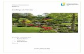 Catálogo de Plantas - · PDF fileCiências Farmacêuticas Botânica Catálogo de Plantas Trabalho realizado por: • Ricardo Ramos • Pedro Cruz • Sara Martinho Turma 4 Gandra,
