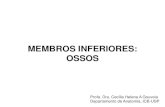 MEMBROS INFERIORES: OSSOS -   · PDF fileMEMBROS INFERIORES: OSSOS Profa. Dra. Cecília Helena A Gouveia Departamento de Anatomia, ICB-USP