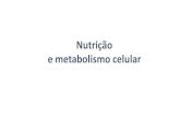 Nutrição e metabolismo celular - Turmas mjn - Apresentação10ebgspedro.weebly.com/uploads/1/4/0/3/14035134/sistema_digestivo... · O metabolismo celular é dividido em dois grupos