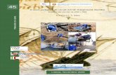 Relatório das missões de 2008 e 2009 - · PDF fileTrabalhos da DANS, ... Falar do navio português do século XVI de Oranjemund ... Joaquim Marinheiro e família, Johan Weber, John