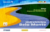 Hidrelétrico Belo Monte - EcivilUFES · PDF file6 7 A construção de uma usina hidrelétrica é uma decisão muito importante, que precisa ser bem estudada. É necessário ouvir