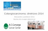 Colangiocarcinoma: diretrizes 2014rvmais.com.br/simposio-tumores-gastrointestinais/pdf/14/1500-1520... · NEOPLASIAS DO TRATO BILIAR Colangiocarcinoma Intrahepático (periférico)