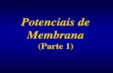 Potenciais de Membrana - ufrgs.br em PDF/11... · Alterações nos potenciais de membrana são causadas por ... A difusão iônica ocorre a favor de gradiente de potencial eletroquímico