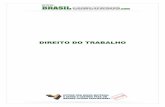 Apostila Direito Trabalho - brasilconcursos.com Trabalho.pdf · vínculo de emprego com os órgãos da administração pública direta, indireta ou fundacional (art. 37, II, da CF/1988).