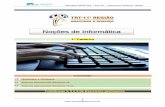 Noções de Informática -  · PDF fileApostilas OBJETIVA – Ano XII - Concursos Públicos - Brasil 2   . Conceitos Básicos de informática . Você sabe o