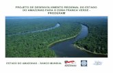 PROJETO DE DESENVOLVIMENTO REGIONAL DO …siteresources.worldbank.org/BRAZILINPOREXTN/Resources/3817166... · projeto de desenvolvimento regional do estado do amazonas para o programa