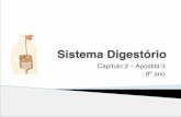 Sistema Digestório - cap. 2 - apostila 3 - Integral Paulínia · PDF fileSistema Digestório Capítulo 2 – Apostila 3 8º ano. Tem a função de quebrar grandes moléculas para