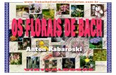 Os Florais de Bach - servicoemcasa.comservicoemcasa.com/download/ebook/Curso-Florais-de-Bach.pdf · Os Florais de Bach Os Florais de Bach 4 pacientes com temperamento similares se