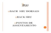 BACH SHU DORSAIS BACK SHU PONTOS DE … shu.pdf · BACH SHU (SHU) O Back-shu (shu) são os pontos nas costas onde o Qi dos órgãos respectivos Zang Fu étransportado. Localizam-se