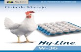 W-36 POEDEIRAS COMERCIAIS Guia de · PDF filemanejo de lotes de Aves Comerciais da Linhagem Hy-Line W-36, baseados em experiências a campo, ... Pesos Corporais, Consumo de Ração