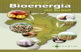 Centro Nacional de Referência em Biomassa – CENBIO143.107.4.241/download/atlas_cenbio.pdf · do Potencial de Biomassa no Brasil, ... 15%, de baixo rendimento termodinâmico –