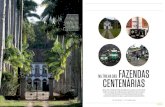 FAZENDAS - · PDF fileAlameda de palmeiras- imperiais na entrada da fazenda Paraízo. Ao lado, em sentido horário: capela da fazenda São Luiz da Boa Sorte, que abriga imagem de