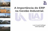 A Importância do ERP na Gestão Industrial. - stab.org.brstab.org.br/15sba/web/07_luiz_defilippi_usina_ipiranga.pdf · PRÓXIMA: Manutenção Industrial ... Datasul. A Importância