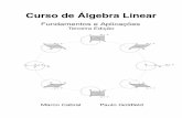 Curso de Algebra Linear´ - labMA/ · PDF fileCurso de Álgebra Linear / Marco Cabral e Paulo ... expandir o primeiro capítulo na parte de geometria analítica no plano e ... 2.2