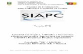 Sistema de Informações para Auditoria e Prestação de · PDF fileDireção de Controle e Fiscalização Centro de Gestão Estratégica de Informação para o Controle Externo SIAPC