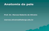 Prof. Dr. Marcos Roberto de Oliveira ... · PDF filePele -Facilmente acessível -Um dos melhores indicadores da saúde geral -Útil ser examinada no exame físico -Maior órgão do