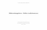 A minha Monografia - bdigital.ufp.ptbdigital.ufp.pt/bitstream/10284/3977/1/A minha Monografia.pdf · RESUMO A meningite corresponde a uma inflamação das meninges causada, ... Figura