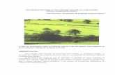 CONTRIBUIÇÃO PARA O CÁLCULO DE VOLUME DO · PDF fileAgricultura na cidade de Igarassú - PE (Fotografia abaixo) ... De posse do volume real das árvores e dos volumes dos ... fator