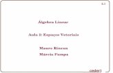 Álgebra Linear Aula 2: Espaços Vetoriais Mauro Rincon ... rincon/Disciplinas/Algebra Linear/Aula_002.pdf · PDF file2.23 2.3 - Subespaços Vetoriais Sejam V um espaço vetorial