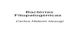 Bactérias Fitopatogênicas - · PDF fileEles descobriram que os procariotos e eucariotos tinham ... tem um terceiro tipo de rRNA e o arranjo ... e Ultraestrutura de Células Bacteriana