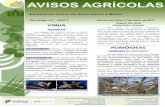 DA UVA VINHA - drapn. · PDF fileProjeto Promover os Recursos Micológicos/ Manual de Boas Práticas de Consumo e Colheita de Cogumelos Silvestres/ Guia do Coletor de Cogumelos ESSÕES