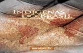Departamento de Assuntos Indígenas da AMTB - · PDF fileo demonstrativo estatístico com um resumo dos dados e visualização ... O crescimento da população geral dos povos indígenas
