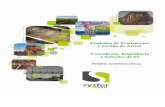 Logística de Transportes e Gestão de Ativos Consultoria, Engenharia e ... · PDF fileinfraestrutura e de operação ferroviária para escoamento da produção de minério de ferro