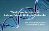 Técnicas moleculares do Laboratório de Biologia · PDF file•PCR -> Polymerase Chain Reaction Multiplicação “in vitro” de um trecho específico de DNA (gene ou parte dele,