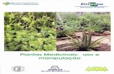 PlantasMedicinais: usoe manipulaçãoainfo.cnptia.embrapa.br/digital/bitstream/item/50304/1/fd570001.pdf · A utilização de plantas medicinais, tanto na farmacopéia como na medicina