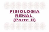Fisiologia Renal II e III 2010 [Modo de Compatibilidade] · PDF fileReabsorção: Transferência de água e solutos do lúmen do néfron para o fluído extracelular Características