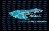 Anfíbios de Portugal · PDF fileminhocas: são as chamadas “cecílias” ou “cobra-cegas”. ... espécies introduzidas. As fichas de cada espécie podem ser consultadas no portal