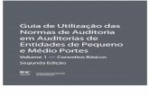 Guia de Utilização das Normas de Auditoria em EPMP - Volume 1 · PDF fileGuia de Utilização das Normas de Auditoria em Auditorias de ... original em inglês também pode ser baixado
