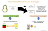 Transferência/Transformação de energia - Anjo ncia/Transformação de energia Anjo Albuquerque Sistemas complexos São sistemas em que para o estudo das transferências e/ou transformações