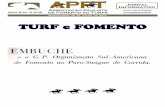 TURF e FOMENTO - apfturfe.com.brapfturfe.com.br/download/28-7-2016_12-47_22_159.pdf · 04-Energia Green Puro Dominio H. Baungarten ... Náo correram Operette e Musette. Tempo, 2'03"1