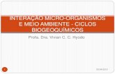 INTERAÇÃO MICRO-ORGANISMOS E MEIO AMBIENTE   · PDF fileprofa. dra. vivian c. c. hyodo interaÇÃo micro-organismos e meio ambiente - ciclos biogeoquÍmicos 1 02/04/2015