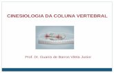 CINESIOLOGIA DA COLUNA VERTEBRAL - cpaqv.org DA COLUNA VERTEBRAL . ... Semi espinhal (da cabeça; cervical e torácico) Extensão, flexão lateral, rotação . Multifidos, rotadores,