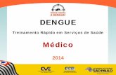 treinamento rápido - médicos grá · PDF fileDengue - Treinamento Rápido em Serviços de Saúde O Brasil e o Estado de São Paulo têm vivido grandes epidemias de dengue nos últimos