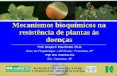 Mecanismos bioquímicos na resistência de plantas às …brasil.ipni.net/ipniweb/region/brasil.nsf... · plantas de trevo (Lotus corniculatus) MECANISMOS DE RESISTÊNCIA Bioquímicos