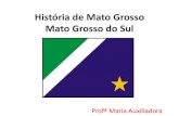 História de Mato Grosso Mato Grosso do Sul · PDF filePrincipais Tribos Indígenas - MS •Kadiwéu Grupo indígena brasileiro que habita a oeste do rio Miranda, na fronteira de Mato