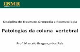 Patologias da coluna vertebral - ONCO-ORTOPEDIA - Dr. …oncoortope.dominiotemporario.com/doc/aula10.pdf ·  · 2012-05-14vertebral, ou das raízes nervosas, nos forames intervertebrais