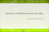 Genética e Melhoramento de Cães - fcav.unesp.br · CBKC – Confederação Brasileira de Cinofilia ... que confere características ao cumprimento do pelo. Cocker Spaniel Golden