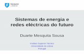 Sistemas de energia e redes eléctricas do futuro · redes eléctricas - electrificação dos sistemas de transporte - casas inteligentes - conversão electrónica de energia “adiabática”