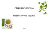 FARMACOGNOSIA Matéria-Prima Vegetal · Conceitos Gerais Plantas Medicinais: Todo e qualquer vegetal que possui, em um ou mais órgãos, substâncias que podem ser utilizadas com