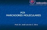 PCR MARCADORES MOLECULARES - unioeste.br · Amplificação de seqüências pela Reação em cadeia da polimerase (PCR) Uma DNA polimerase resiste a temperatura, a Taq polimerase,