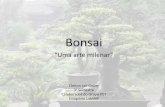 Apresentação do PowerPoint€¦ ·  · 2014-01-29•Na primavera, deve-se fertilizar o bonsai quinzenalmente ou até semanalmente de acordo com espécies. • Durante os meses
