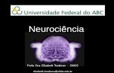 Neurociência - Luciana  · PDF fileaprendizagem de medo . ... • A neurociência é uma área de atuação que objetiva o conhecimento, ... Introdução à Neurociência