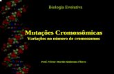 Mutações Cromossômicas - uenf.bruenf.br/cbb/lbt/files/2014/09/Mutações-2.pdf · Sindrome de Klinefelter XXY. Syndrome de Jacobs XYY. Incidência de nascimentos portanto síndrome